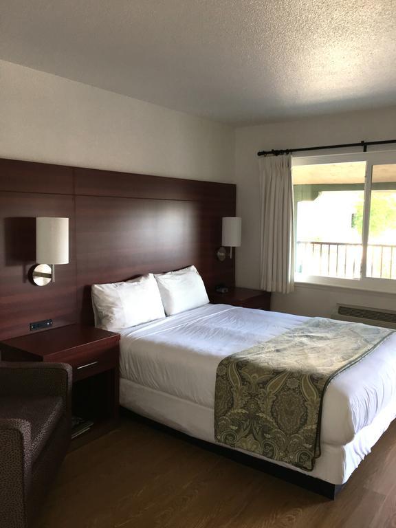 King Room,691320447:JPEG